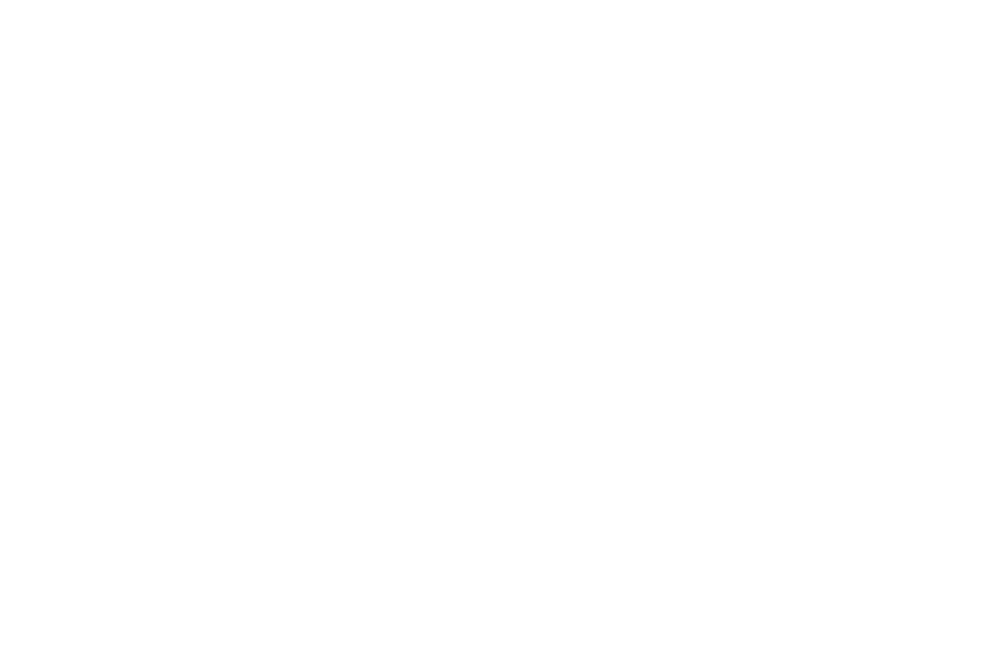 Jovika Wiese